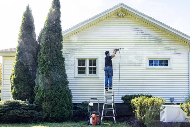 Best Spring Cleaning  in Stacy, MN